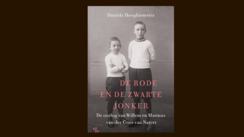 Broers en politieke tegenstanders
